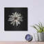 «All White» par Photoinc Studio, Met-380886283