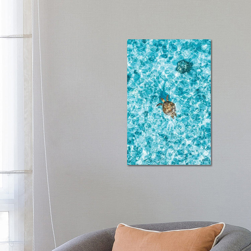 Aerial Great Barrier Reef Island Turtle by James Vodicka - Wrapped Canvas Gallery-Wrapped Canvas Giclée
