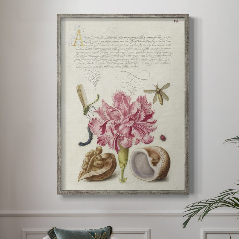 Reproduction encadrée Hoefnagel Tropical Specples VI - bois massif, H 21 po x l 17 po