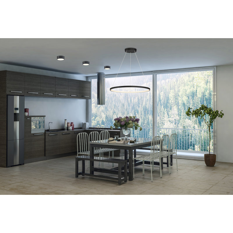 Boyu 1 - Light LED Unique/Statement Pendant, Matte Black, 0.75" H x 31.5" W x 31.5" D