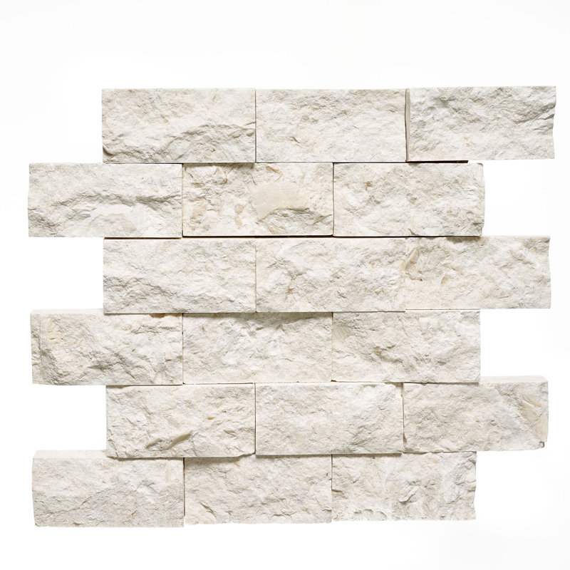 Carreau de mosaïque pour mur et plancher en pierre calcaire 2 po x 4 po Fossil Stone