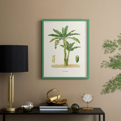 Arbre antique avec fruit III, reproduction encadrée - bois massif