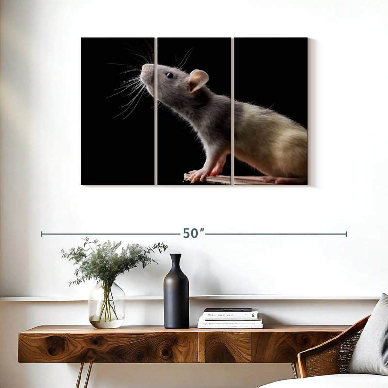 Brampt Rat Close Up, 24" H x 38" W