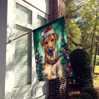 Double Sided Polyester Christmas