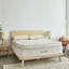 Luxury Organic Mattress-572630038-572630042