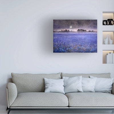 Art de Jennifer Taylor sur toile Northumberland Sapphire