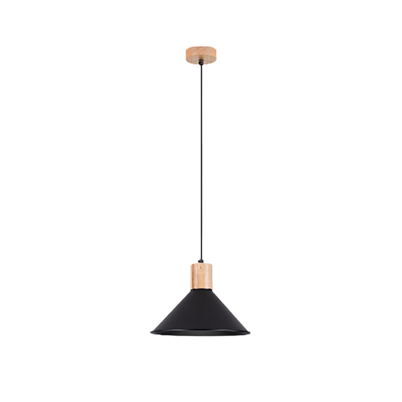 1 - Light Stainless Steel Pendant, Black