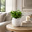 Planter Stoneware Textured Modern Design Indoor Outdoor Home Garden Decor Container - 7" White