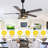 52" Black Ceiling Fan with Light Kit & Remote, 5-Blade Design, 6-Speed Quiet DC Motor, Timer, Reversible for Living Room, Bedroom
