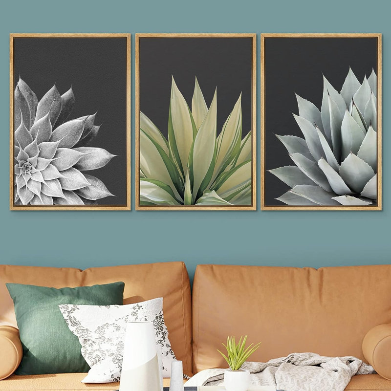 «Trio Of Echevaria Succulents Floral Plants», reproduction sur toile 3 pièces, H 24 po x l 16 po x P 1,5 po, Encadré naturel