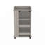 Chariot-bar Rikeisha
