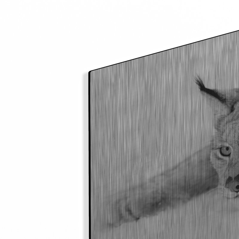 «Lynx 1» par PhotoINC Studio, H 16 po x l 24 po