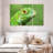 Green Lizard Closeup-2106881002
