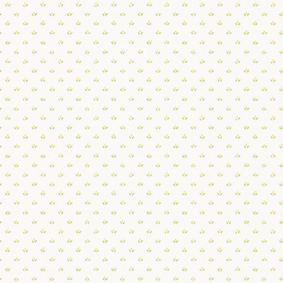 Heffron Matte Paste the Wall Wallpaper Roll