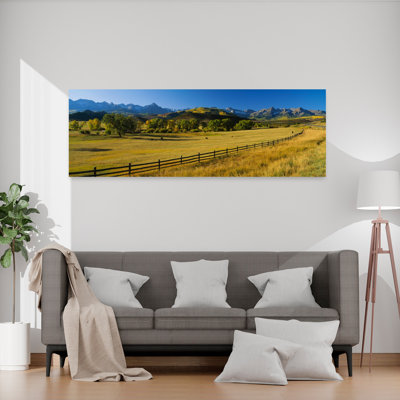 Trees in A Field, Colorado, États-Unis, art contemporain contemporain, paysage naturel