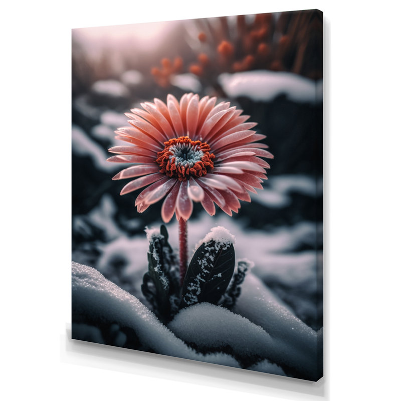 Une fleur de gerbera rose en hiver II - impression sur toile, H 44 po x l 34 po x P 1,5 po, Toile tendue
