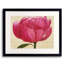 Pink Peony Print by Karen Sikie