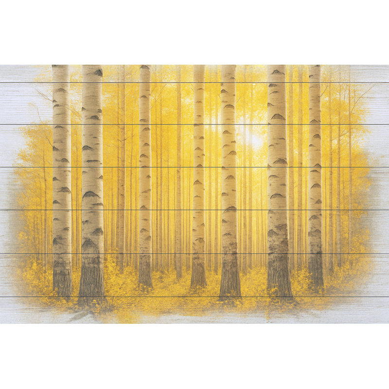 Art mural sur toile Sunlit Birch Haven - Autumn Glow