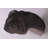 Allosaurus Dinosaur Head Life Size Statue