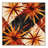Machine Washable Bensonhurst Bold & Eclectic Modern Starburst Rug in Brown – Beige Binding-34192228