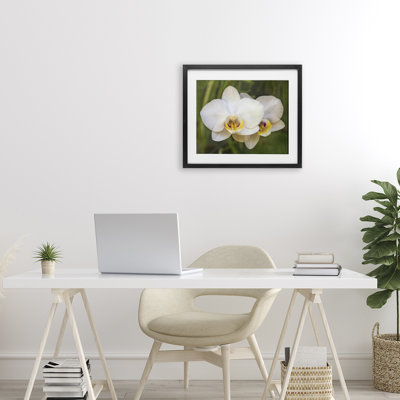 «Orchid Blossom Glow», reproduction sous verre encadrée, design par Seven Trees Design