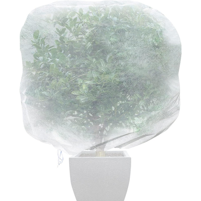 Housse pour plantes à valeur chaude Quarles, H 72 po x l 72 po x P 2 po