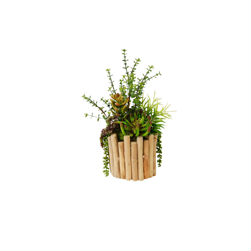 Succulents Arrangement in Glass Wood Planter