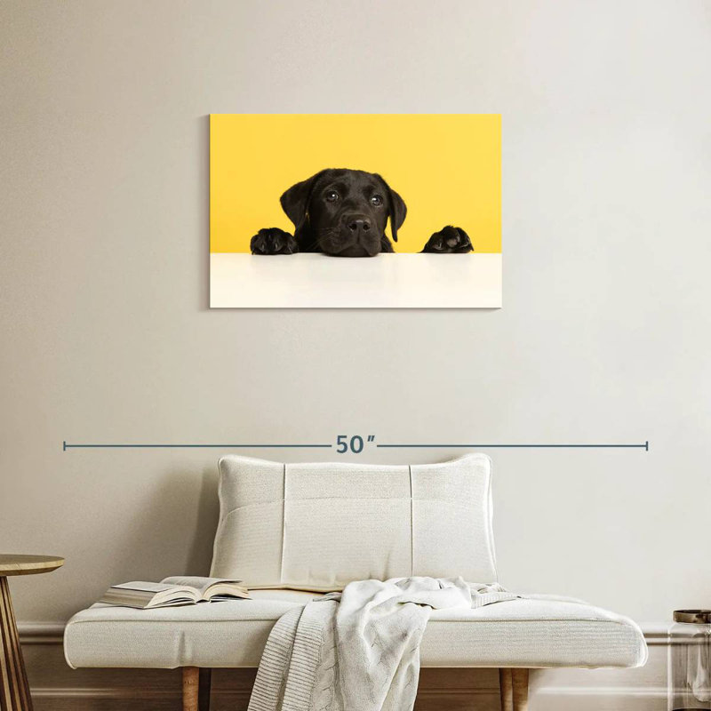 Cute Black Lab, 20" H x 30" W