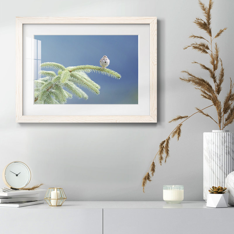 Perche à feuilles persistantes, Blanc, H 18 po x l 26 po x P 1,5 po