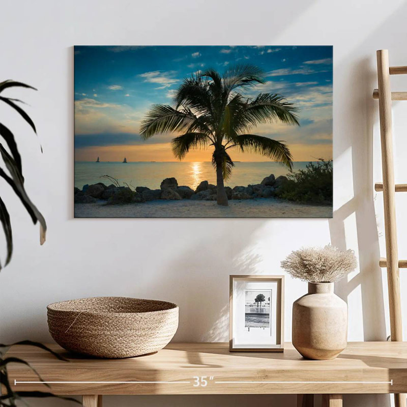 Palmier Gillard Key West, H 16 po x l 24 po