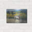 Millwood Pines «View From the Top I» par Tim O'Toole, art mural en métal-1519285572