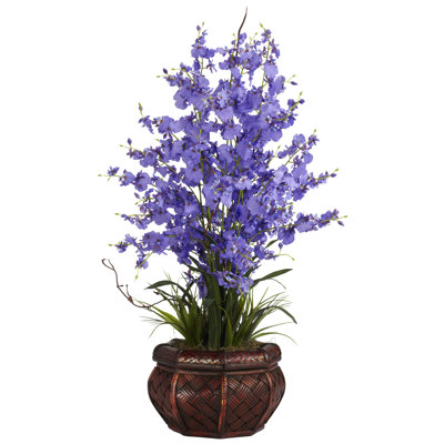 Orchids Arrangement in Pot
