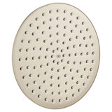 Oak Hill Rain Shower Head