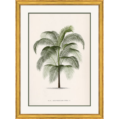 Palms Giclee Print by Isabelle De Borchgrave