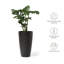 Bee Resin Pot Planter-913027497-836909278-936291771