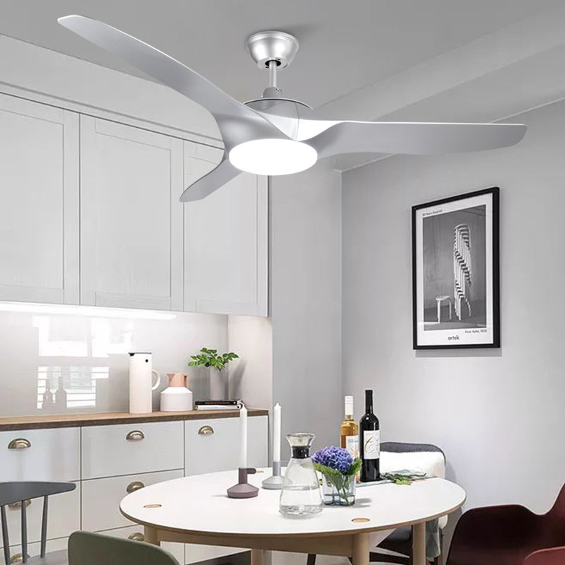 Adreana 132cm Ceiling Fan with LED Lights