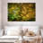 Harnek Ancient Japanese Maple-107844451