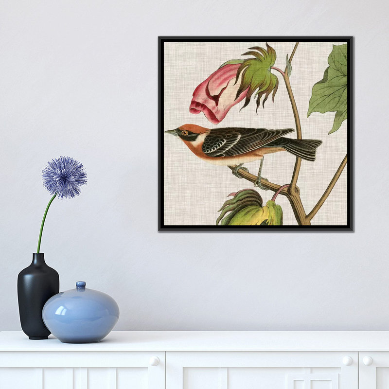 « aviaire crop vi », reproduction d’impression sur toile, H 18 po x l 18 po x P 1,5 po, Toile avec cadre noir, Pas de tapis