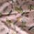 Magnolia selected