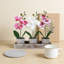 Orchidée artificielle Real Touch, ensemble de 3 pots à fleurs en bois rustique, plantes en faux phalaenopsis pour bureau à domicile