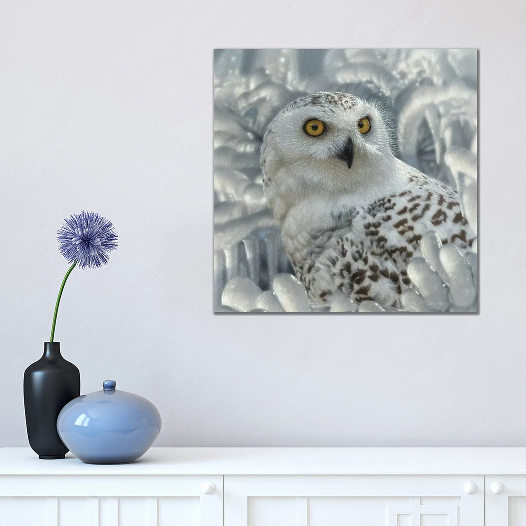Snowy Owl Sanctuary by Collin Bogle - Wrapped Canvas Print