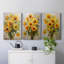 Floral Study Series CL - Ensemble de 3 toiles tendues avec châssis - Prêt à être accroché-107311568