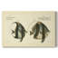 Bloch poisson antique I - galerie Cavas enveloppé-1776553955