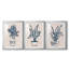Marine Plant Sketches I - ensemble de 3 reproductions de cadres photo-69879274-69879276