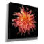 Toile épique Graffiti «Dahlia 6» par Debra Van Swearingen, 12 po x 12 po