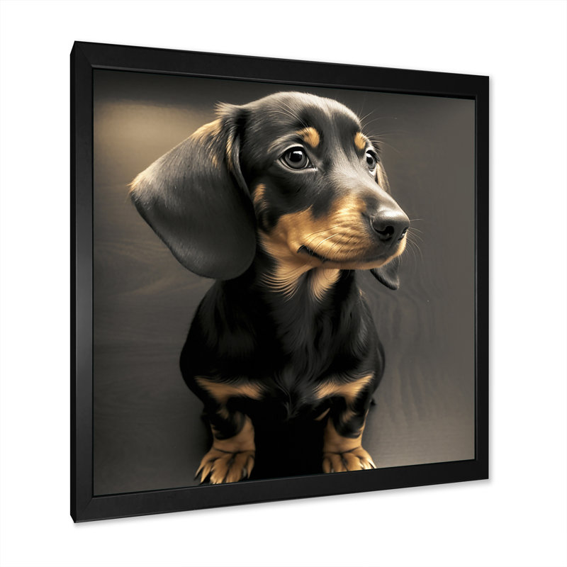 " Cute Daschund Portrait ", 36" H x 36" W x 1.5" D, Black Picture Framed Canvas