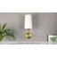 Jaterria Solid Brass Armed Sconce-1967511144-1967093260