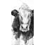 Cow - 24"x48" Framed canvas