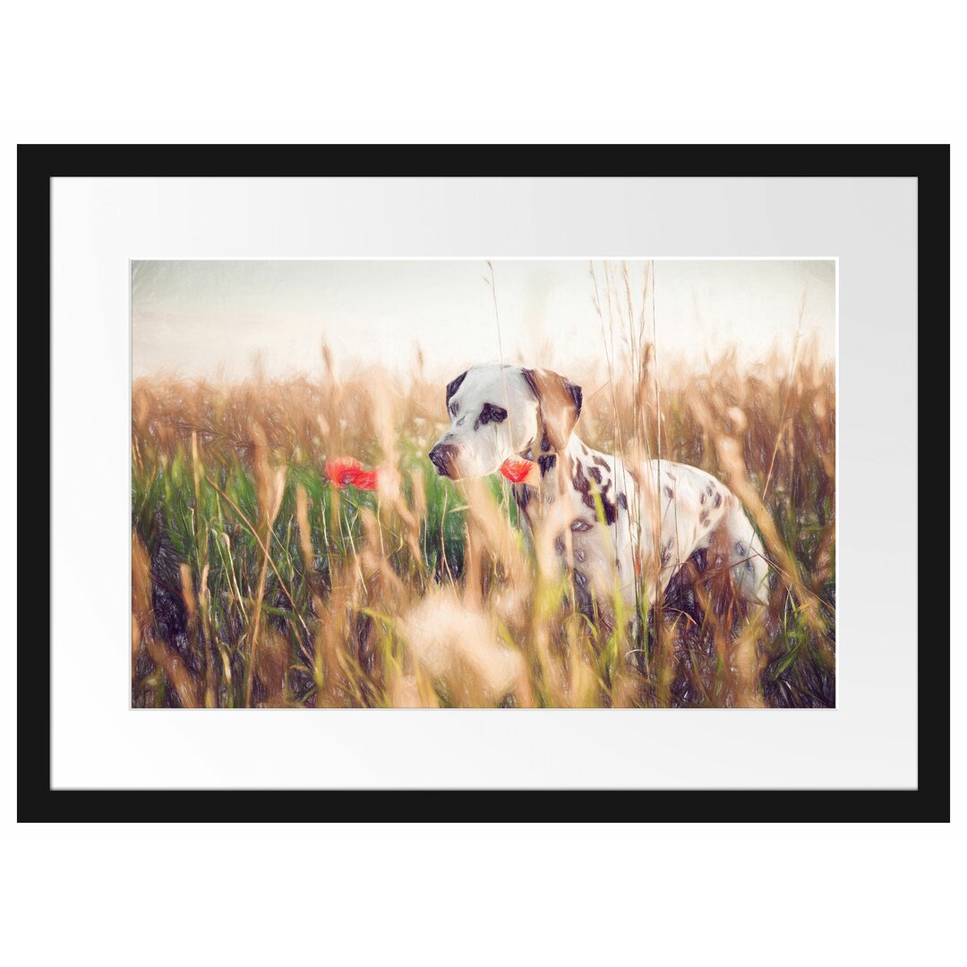 Gerahmtes Poster Neugieriger Hund im Feld