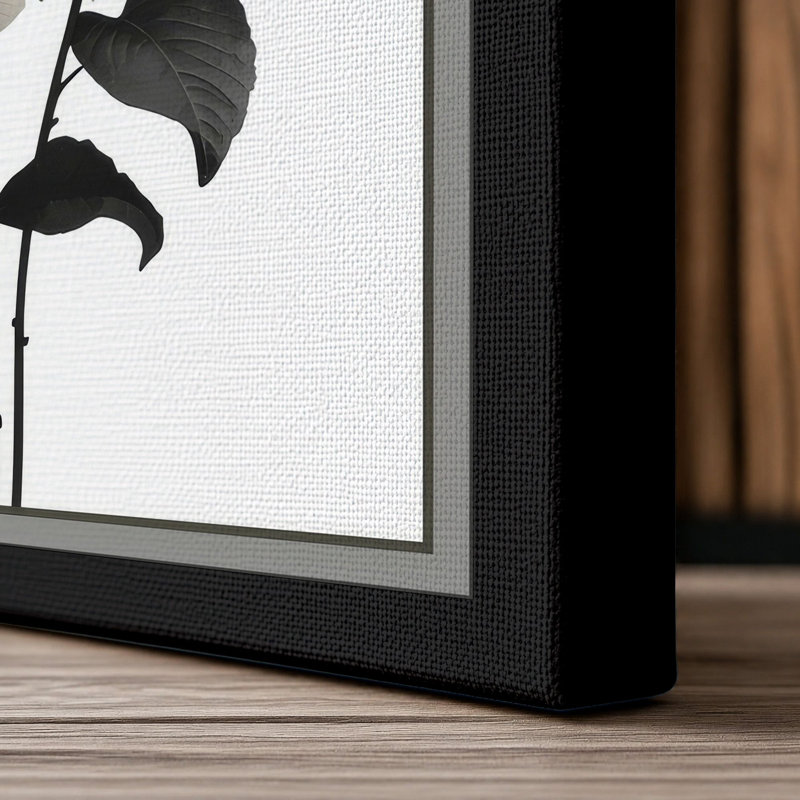 Hydrangea Study Botanical - Wrapped Canvas, 30x20 - 76.2 x 50.8 cm, Black Border